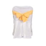 Arriendo Lazo Color Amarillo